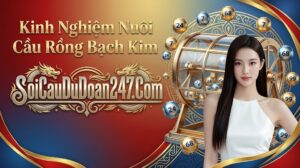 Kinh Nghiệm Nuôi Cầu Rồng Bạch Kim Kinh Nghiệm Nuôi Cầu Rồng Bạch Kim Hiệu Quả